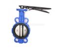 Wafer Type Butterfly Valve - Wafer Type Butterfly Valve