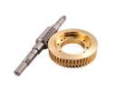 Worm Gears - Custom Worm Gears